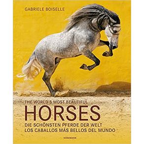 909014.jpg 909014.jpg