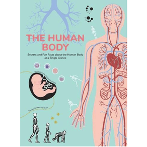 905525.PNG 905525.PNG