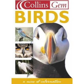 106722_ampliada.jpg 106722_ampliada.jpg