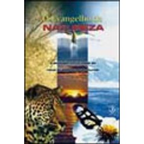 112378_vitrine.jpg 112378_vitrine.jpg