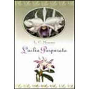 94408_vitrine.jpg 94408_vitrine.jpg