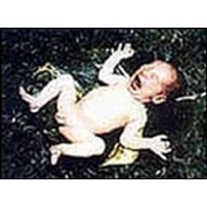 71095_detalhes.jpg 71095_detalhes.jpg