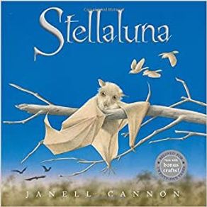 911209.jpg 911209.jpg