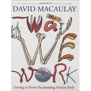 911195.jpg 911195.jpg