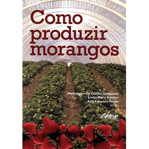 808163_ampliada.jpg 808163_ampliada.jpg