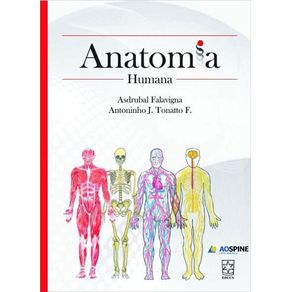 808837_ampliada.jpg 808837_ampliada.jpg