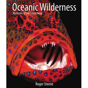 226981_ampliada 226981_ampliada