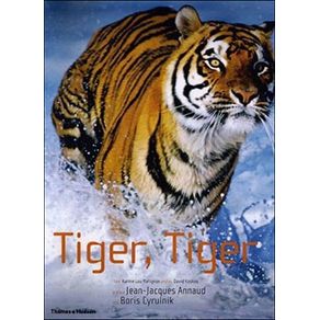 190468_ampliada 190468_ampliada