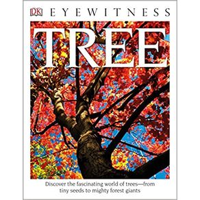 919369.jpg 919369.jpg