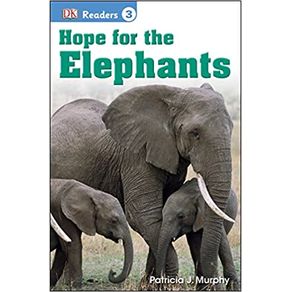 919354.jpg 919354.jpg