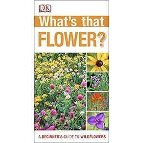 919232.jpg 919232.jpg