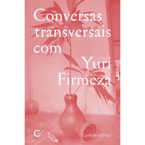 919560.jpg