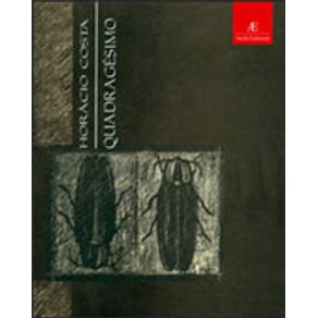 19384_detalhes 19384_detalhes