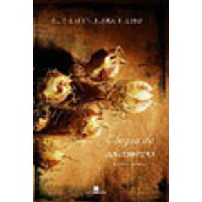 31504_vitrine 31504_vitrine