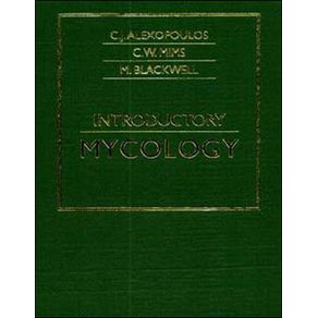 116766_ampliada 116766_ampliada