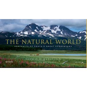 822266_ampliada 822266_ampliada