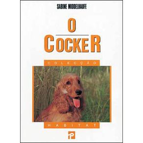 88467_ampliada 88467_ampliada