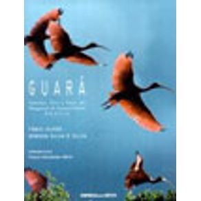 92076_vitrine 92076_vitrine