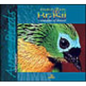 92554_vitrine 92554_vitrine