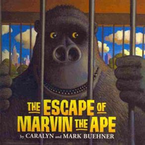 862372_ampliada 862372_ampliada