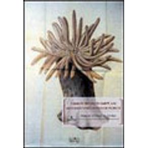 664935_vitrine 664935_vitrine