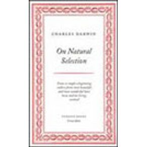 165040_vitrine 165040_vitrine