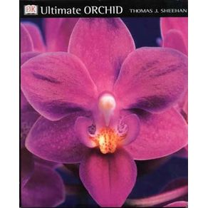 164610_ampliada 164610_ampliada