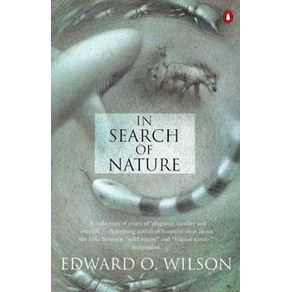 162195_ampliada 162195_ampliada