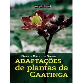 921539.jpg 921539.jpg