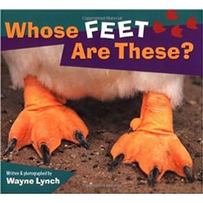 922173.jpg 922173.jpg