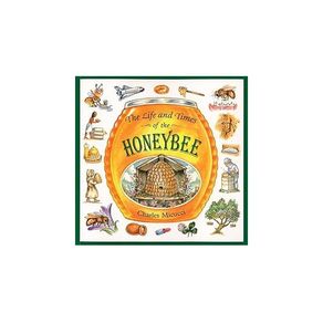 213234.jpg 213234.jpg