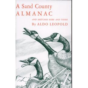 223305.jpg 223305.jpg