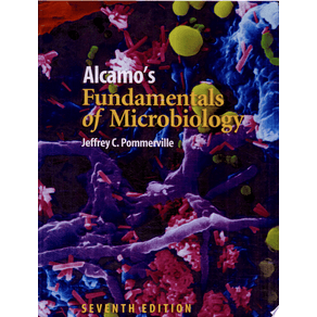 223515.jpg 223515.jpg