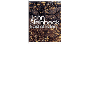 164150.jpg 164150.jpg