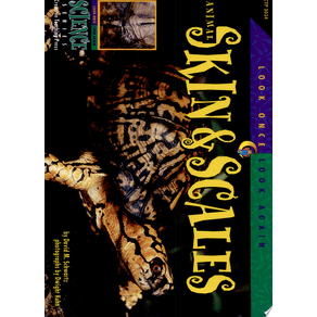 216388.jpg 216388.jpg