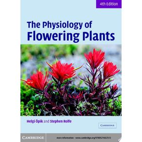 207081.jpg 207081.jpg