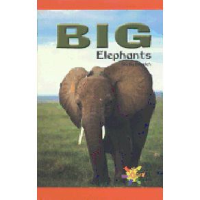 943924.jpg 943924.jpg