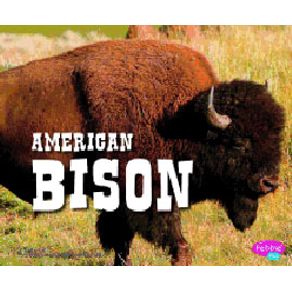 943870.jpg 943870.jpg