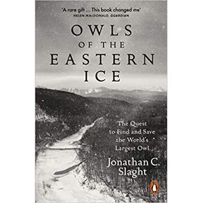 949980.jpg 949980.jpg