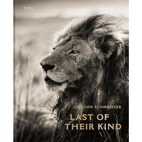 950387.jpg 950387.jpg