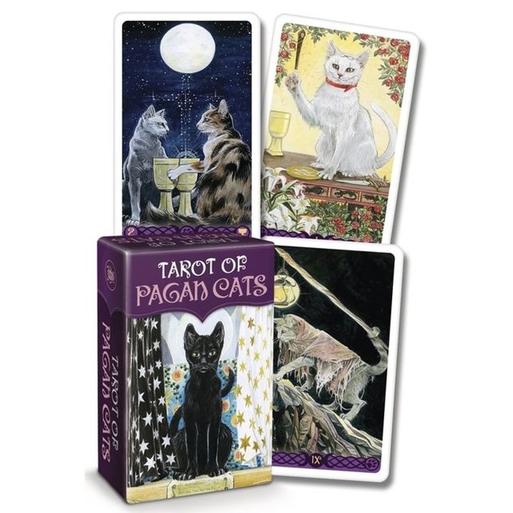 CATS RULE THE EARTH TAROT  Livraria Martins Fontes Paulista