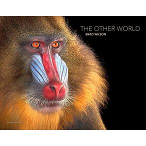 956903.jpg 956903.jpg