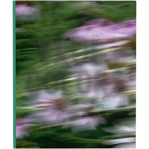 956875.jpg 956875.jpg