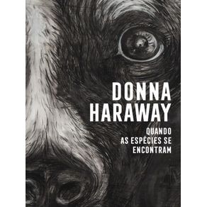 957156.jpg 957156.jpg