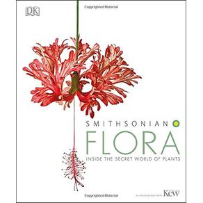 958432.jpg 958432.jpg