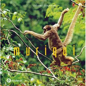 933391.jpg 933391.jpg