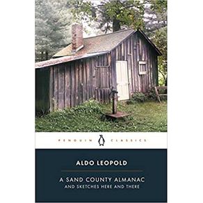 962128.jpg 962128.jpg