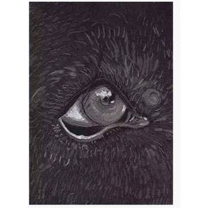 962417.jpg 962417.jpg