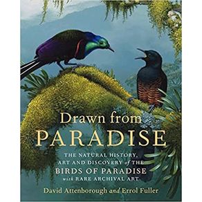 962887.jpg 962887.jpg