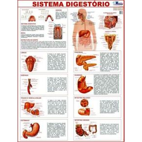 527497.JPG 527497.JPG